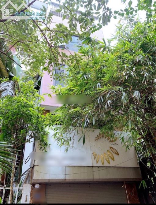 4014781 ảnh đại diện 2