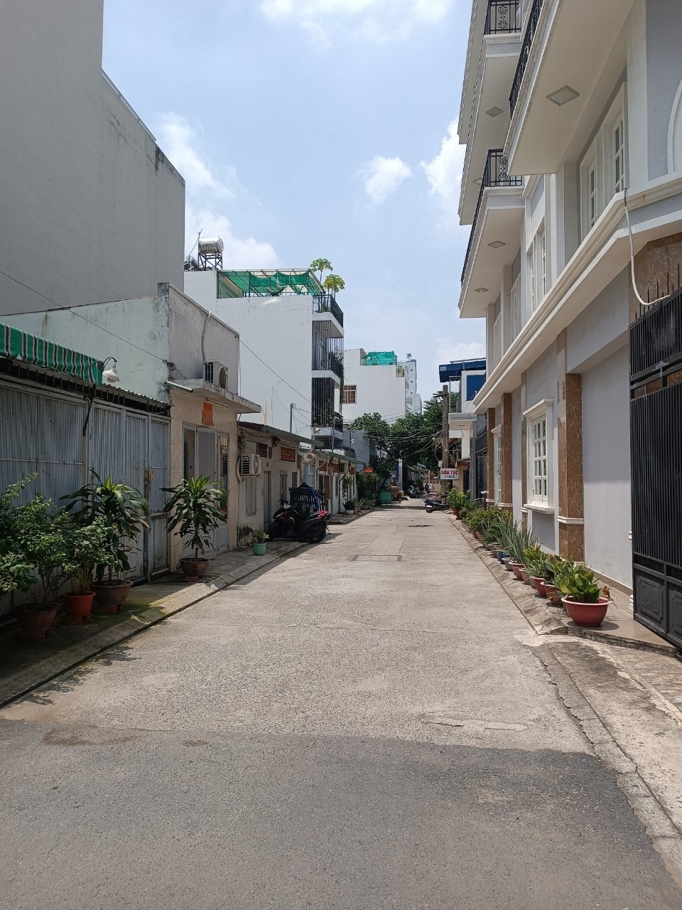 4014086 ảnh đại diện 1