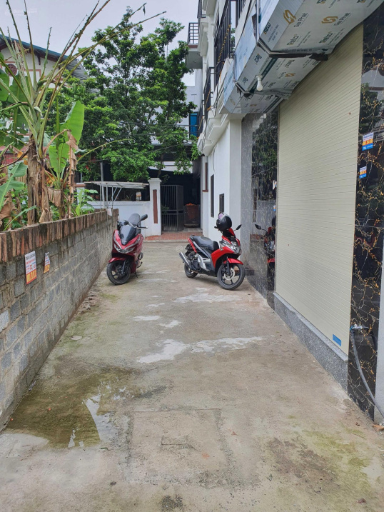 4013281 ảnh đại diện 1