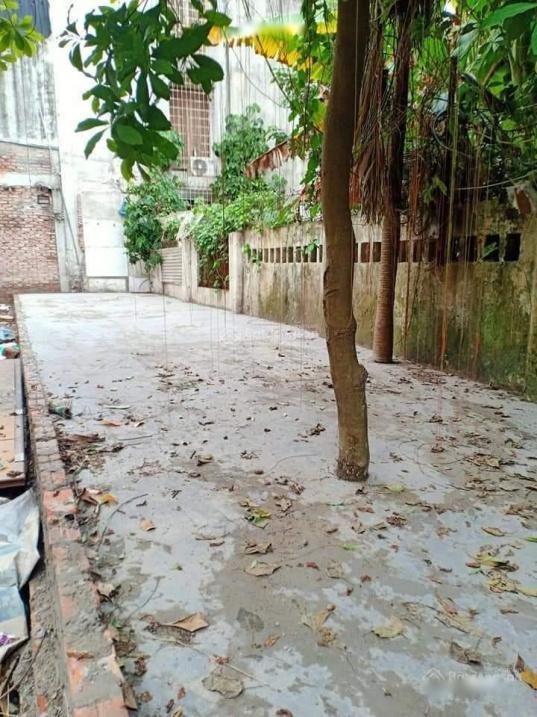 4017020 ảnh đại diện 1