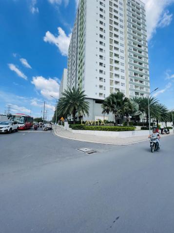 4016571 ảnh đại diện 2