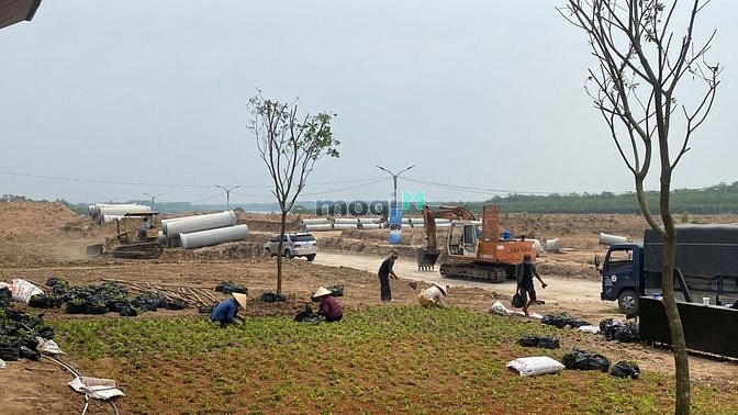 4014306 ảnh đại diện 2