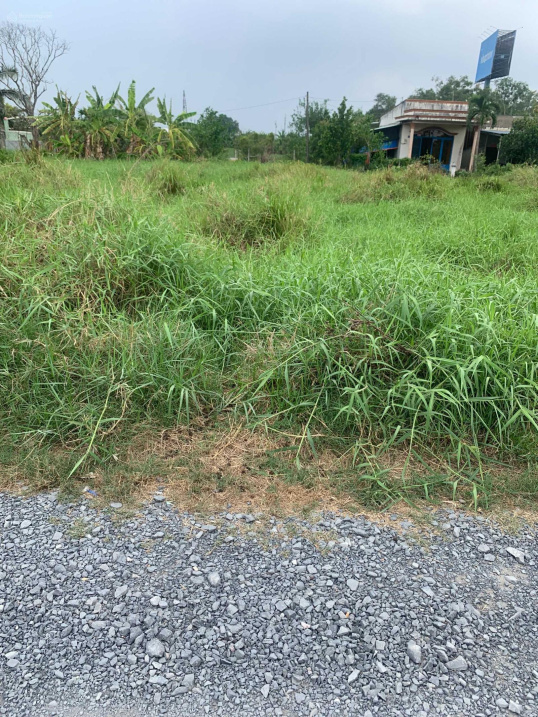 4014946 ảnh đại diện 2