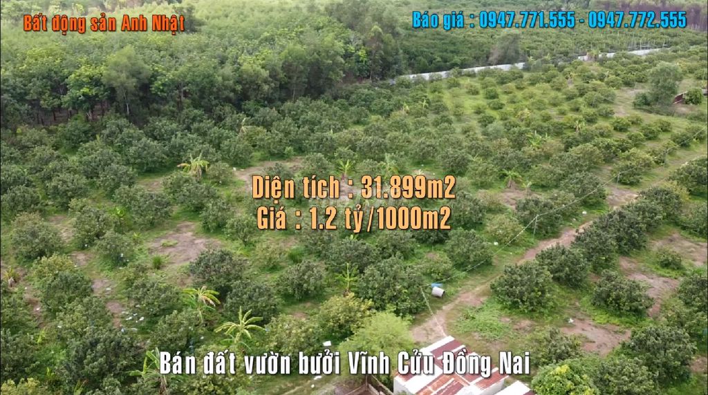 4018061 ảnh đại diện 1