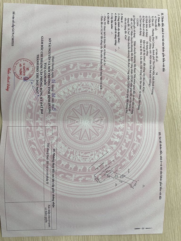 4017921 ảnh đại diện 1