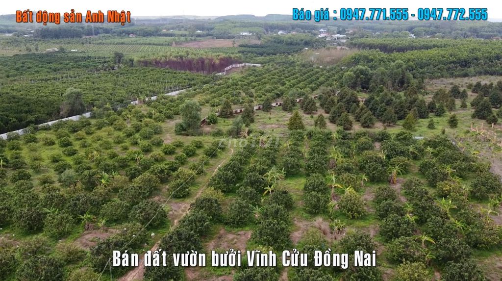 4018061 ảnh đại diện 2