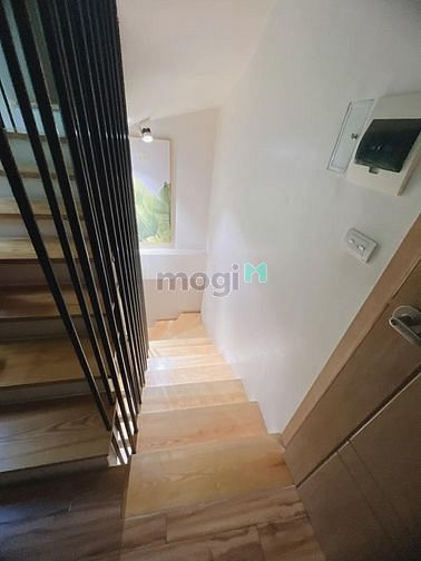 4019144 ảnh đại diện 1
