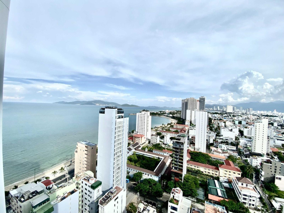 4021148 ảnh đại diện 2
