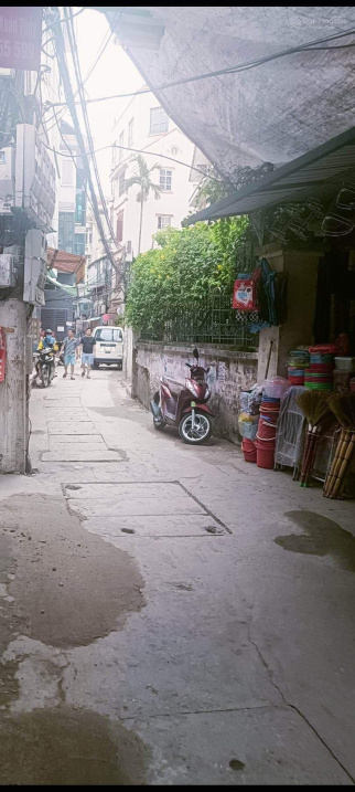 4020098 ảnh đại diện 2