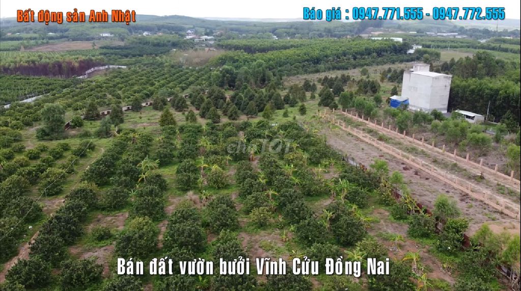 4018061 ảnh đại diện 1