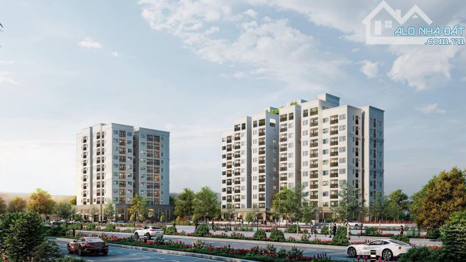 4018476 ảnh đại diện 2