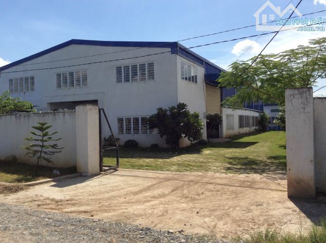 4017829 ảnh đại diện 1