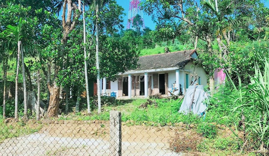 4018896 ảnh đại diện 1