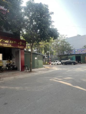 4020387 ảnh đại diện 1