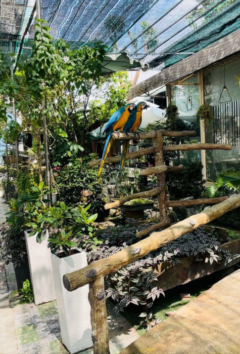 4018297 ảnh đại diện 1