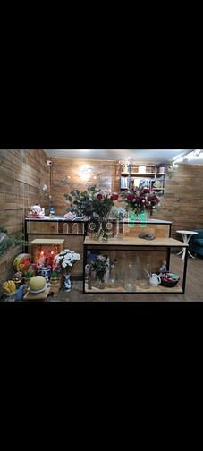 4019586 ảnh đại diện 1