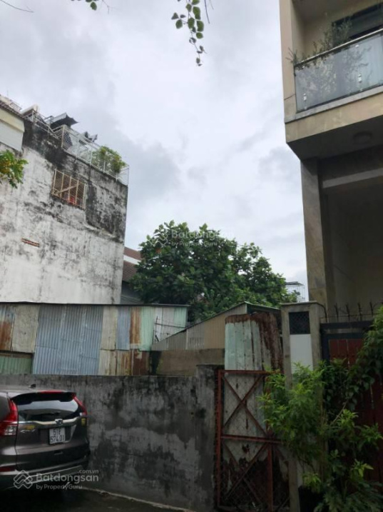 4018269 ảnh đại diện 1
