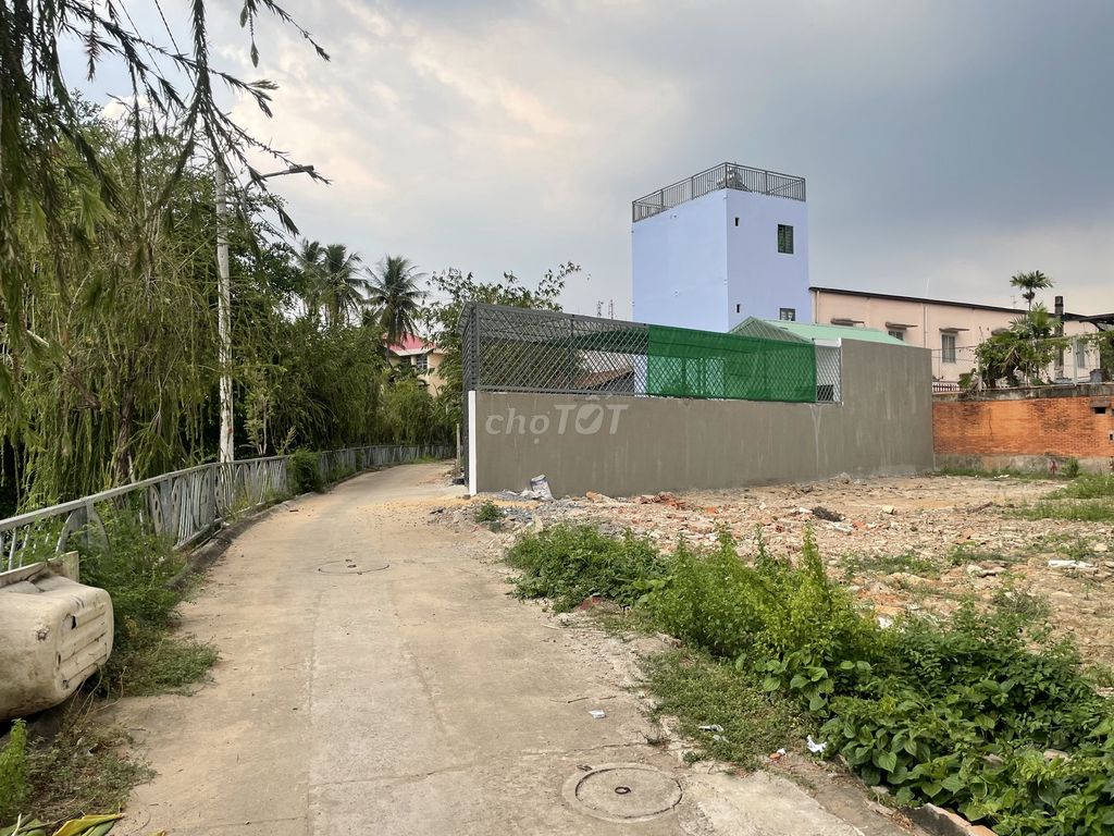 4017921 ảnh đại diện 2