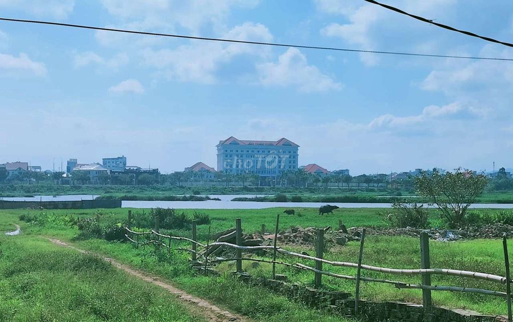 4018896 ảnh đại diện 2