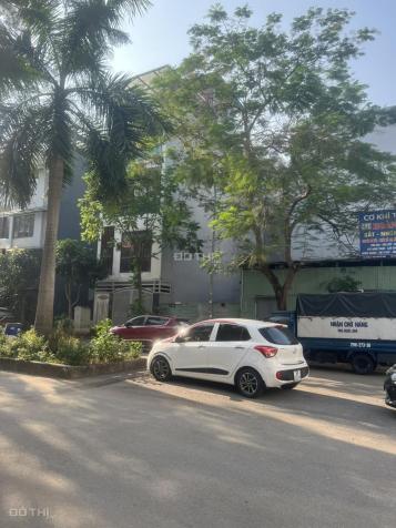 4020387 ảnh đại diện 1