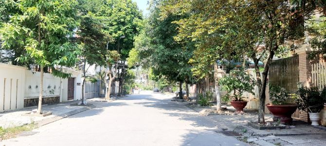 4018477 ảnh đại diện 2