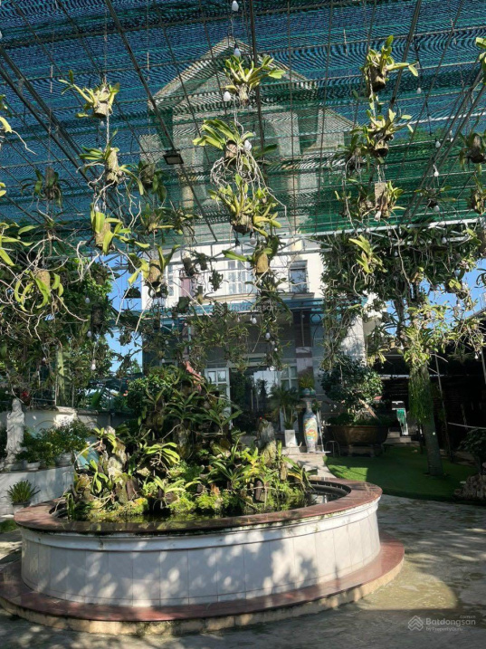 4018297 ảnh đại diện 2