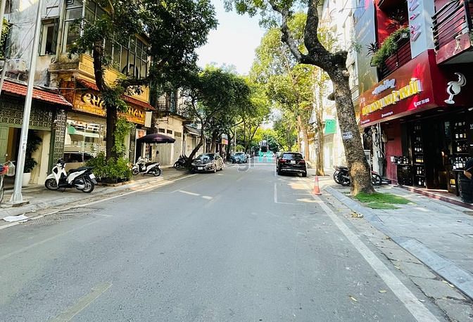 4019587 ảnh đại diện 1