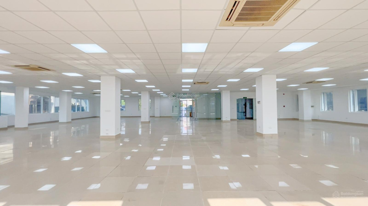4020219 ảnh đại diện 2
