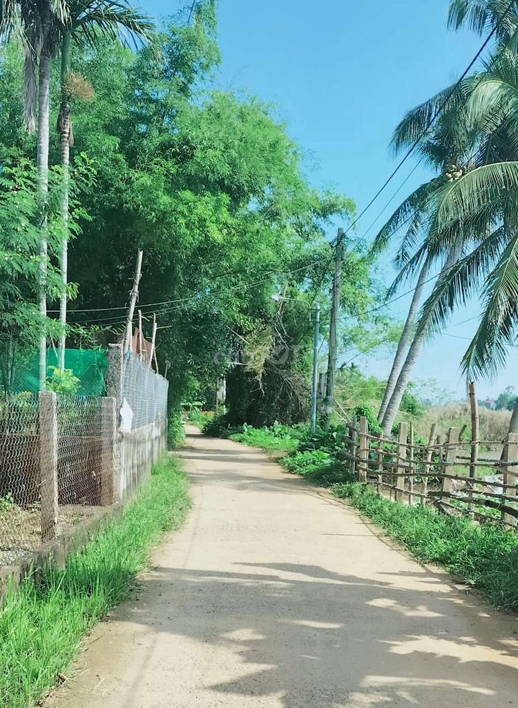 4018896 ảnh đại diện 1