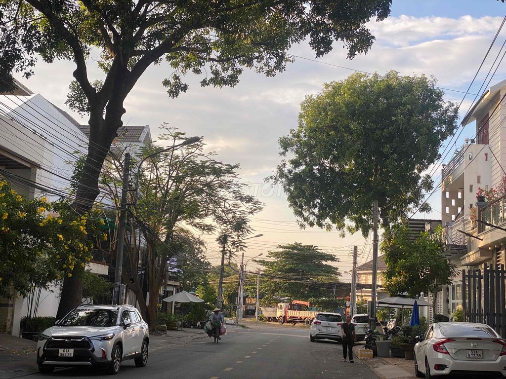 4018133 ảnh đại diện 2