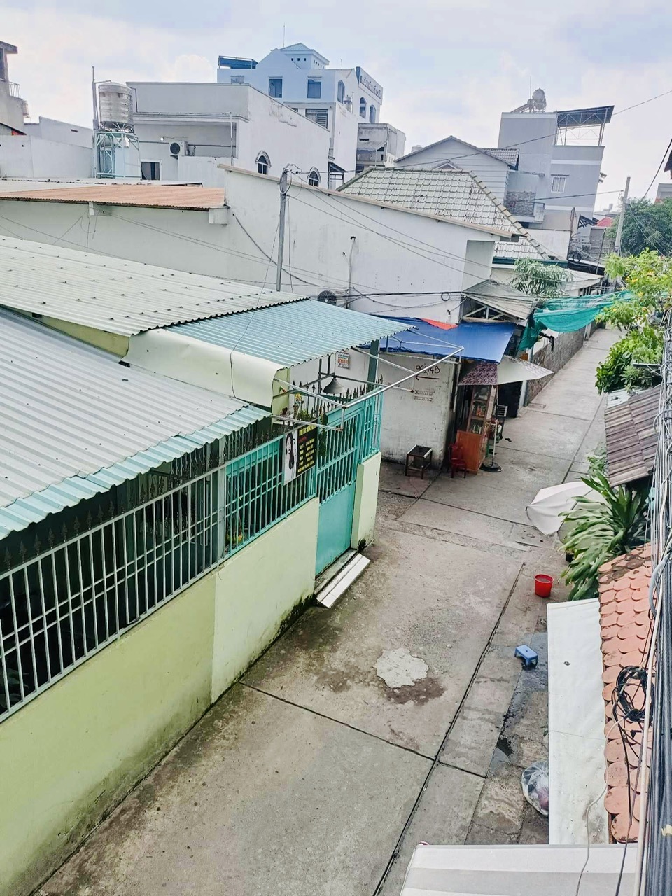 4019461 ảnh đại diện 2