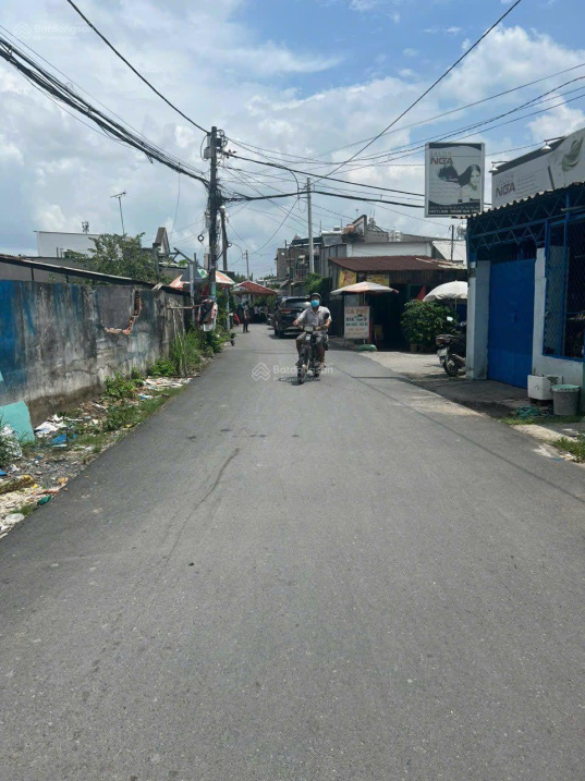 4019534 ảnh đại diện 1