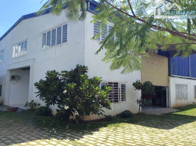 4017829 ảnh đại diện 2