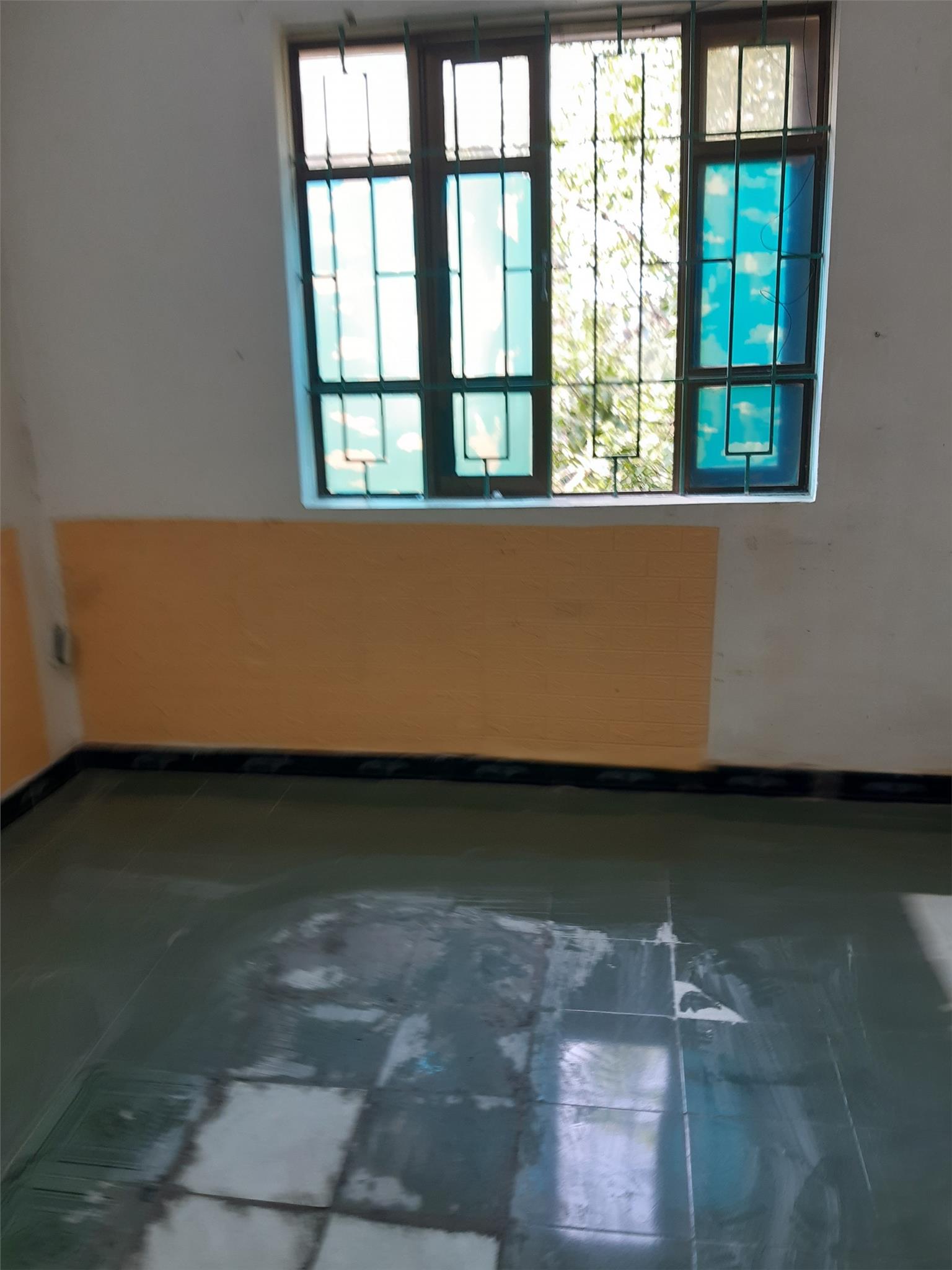 4019207 ảnh đại diện 1
