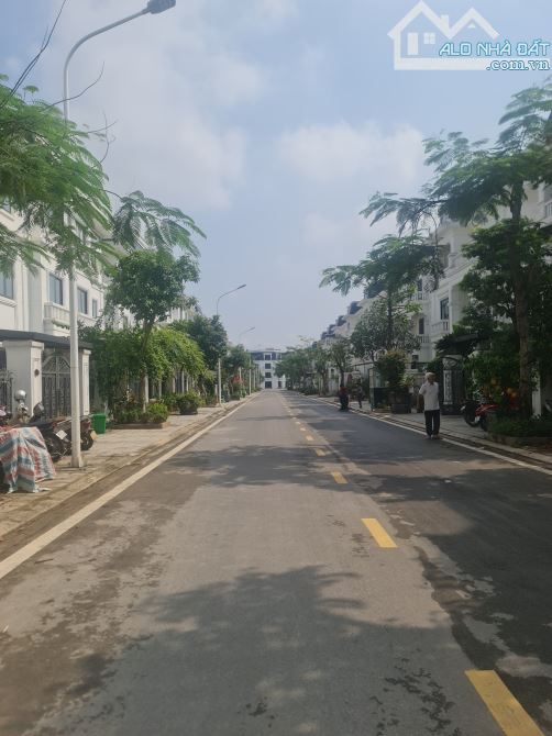 4018483 ảnh đại diện 1