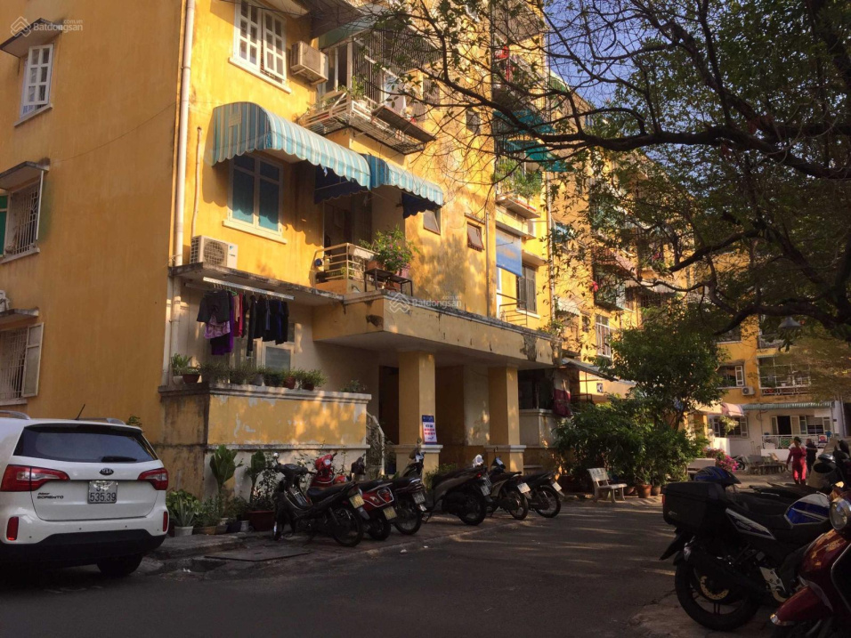4024151 ảnh đại diện 2
