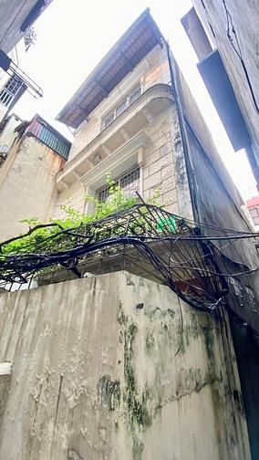 4023940 ảnh đại diện 1