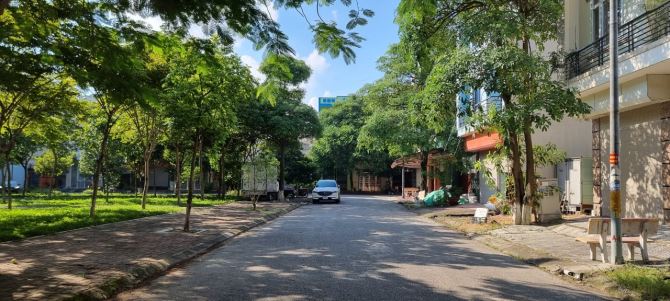 4023640 ảnh đại diện 1