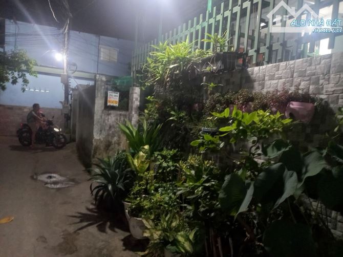4024587 ảnh đại diện 2
