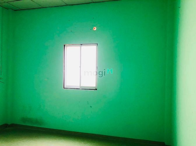 4022087 ảnh đại diện 2