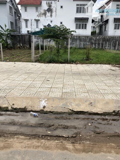 4024651 ảnh đại diện 1