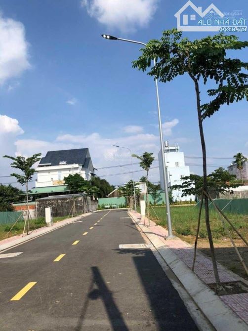 4024650 ảnh đại diện 2