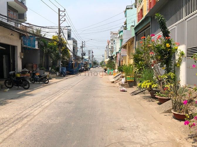 4022087 ảnh đại diện 1