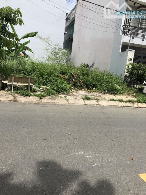 4024651 ảnh đại diện 2