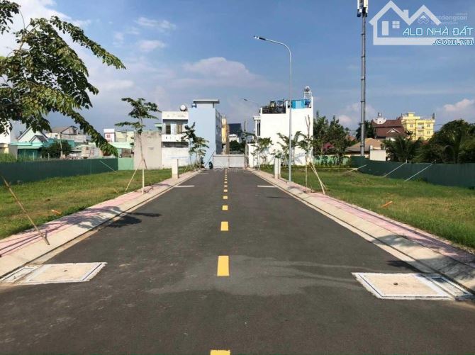 4024650 ảnh đại diện 1