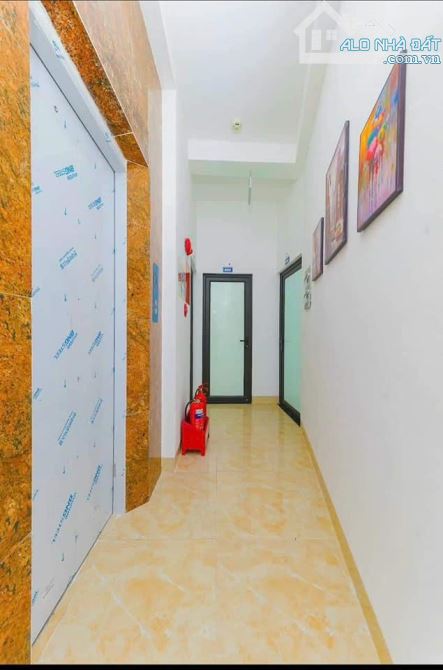4021634 ảnh đại diện 2