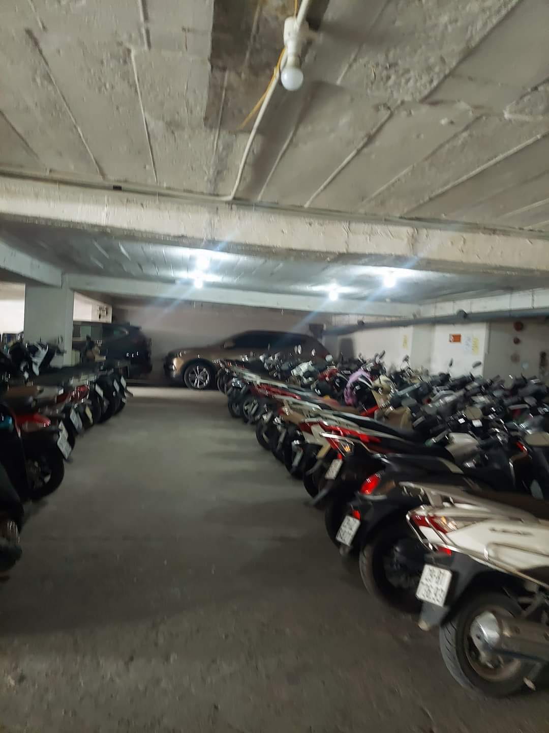 4023364 ảnh đại diện 2