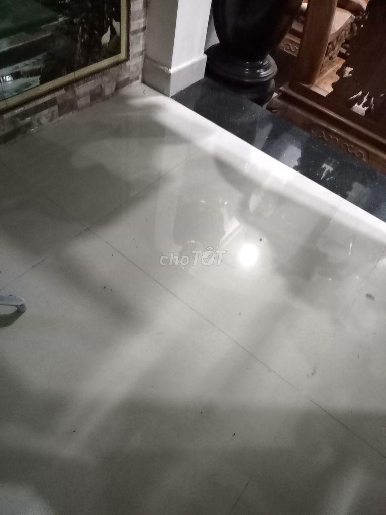 4028251 ảnh đại diện 2