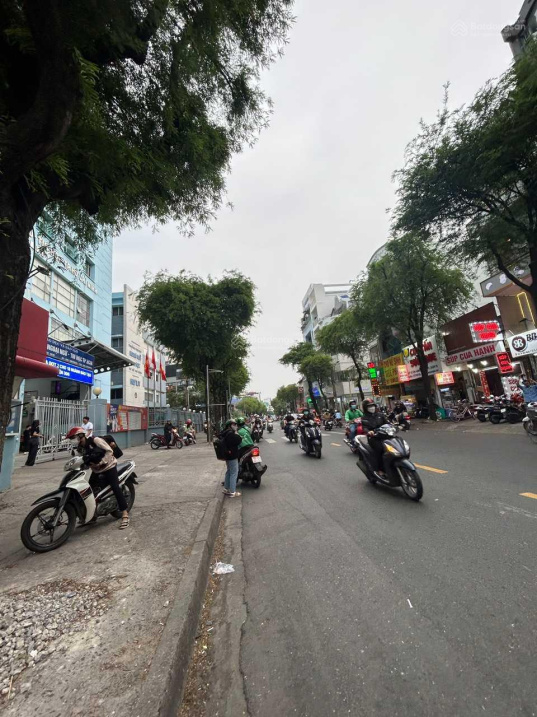 4026597 ảnh đại diện 1