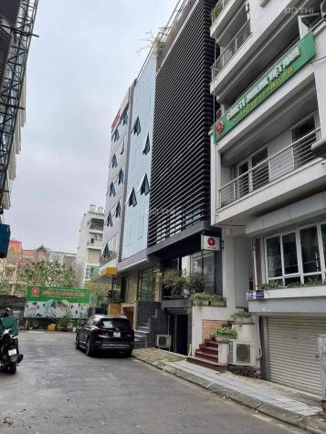 4027873 ảnh đại diện 1